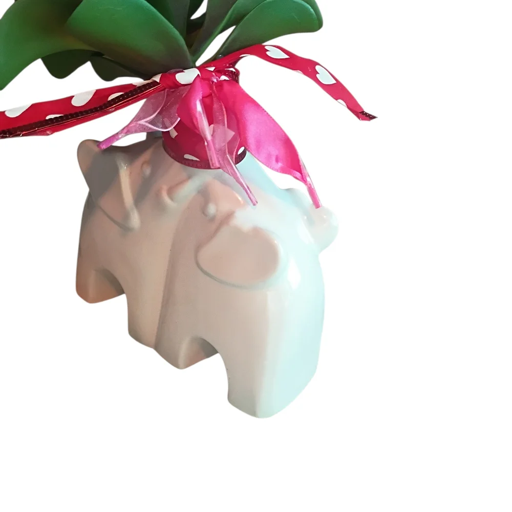 White Elephant Planter with Green Succulent
